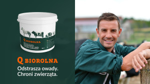 chemia budowlana dolnośląskie, kleje do płytek, farby do ścian, elewacja domu